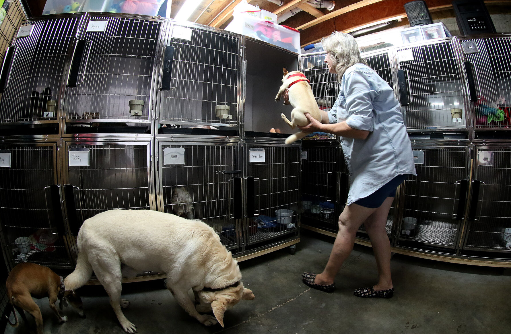 060518-qct-animal-sanctuary-003
